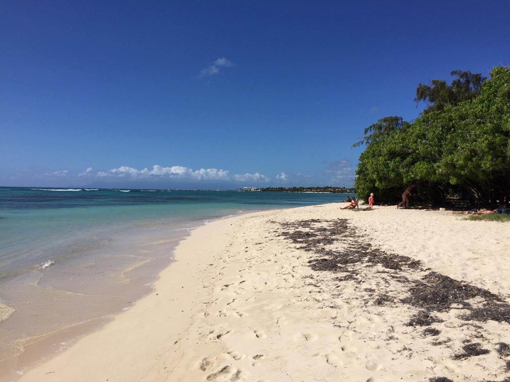 Villa Les Saintes 4/5 P A 50M De La Plage De L'Anse De Mancillier Εξωτερικό φωτογραφία