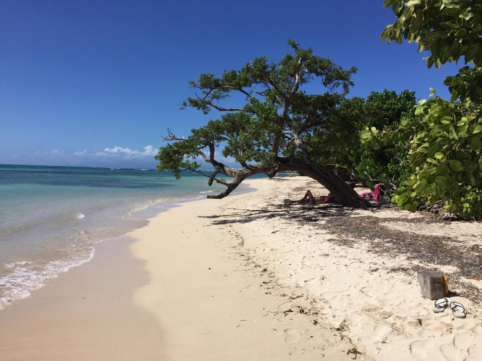 Villa Les Saintes 4/5 P A 50M De La Plage De L'Anse De Mancillier Εξωτερικό φωτογραφία